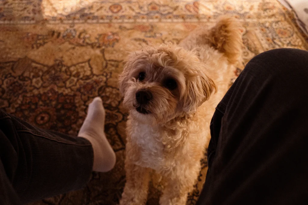 Зображення до статті від rawkkim