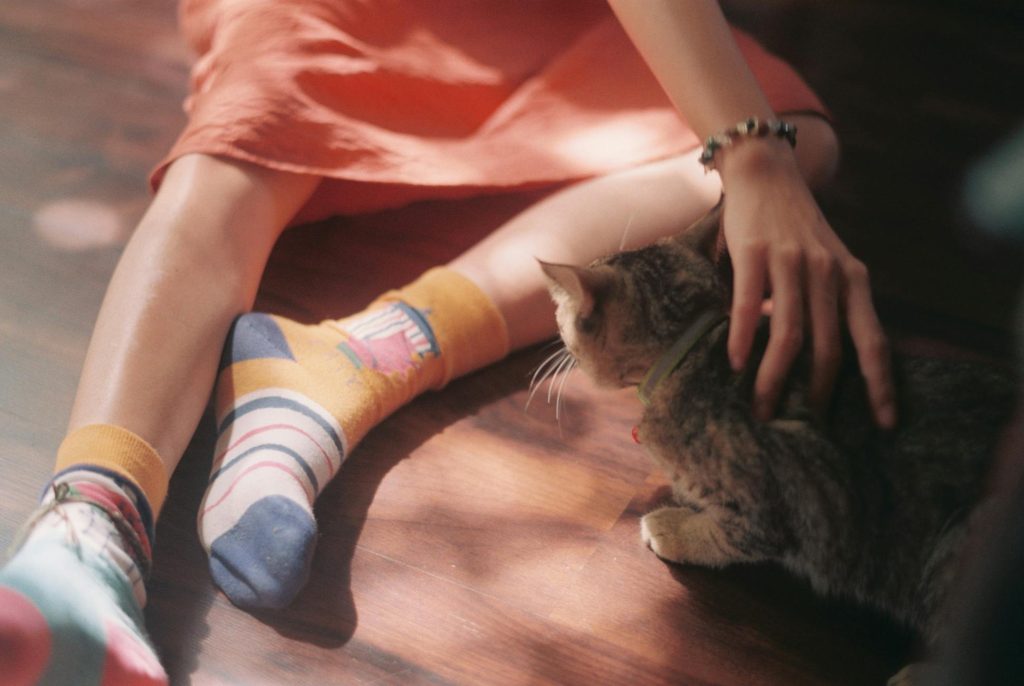 Зображення до статті від stayhereforu