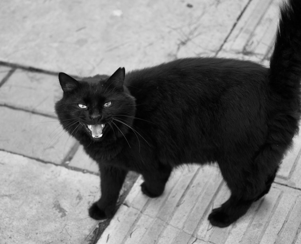 Зображення до статті від Doğan Alpaslan Demir