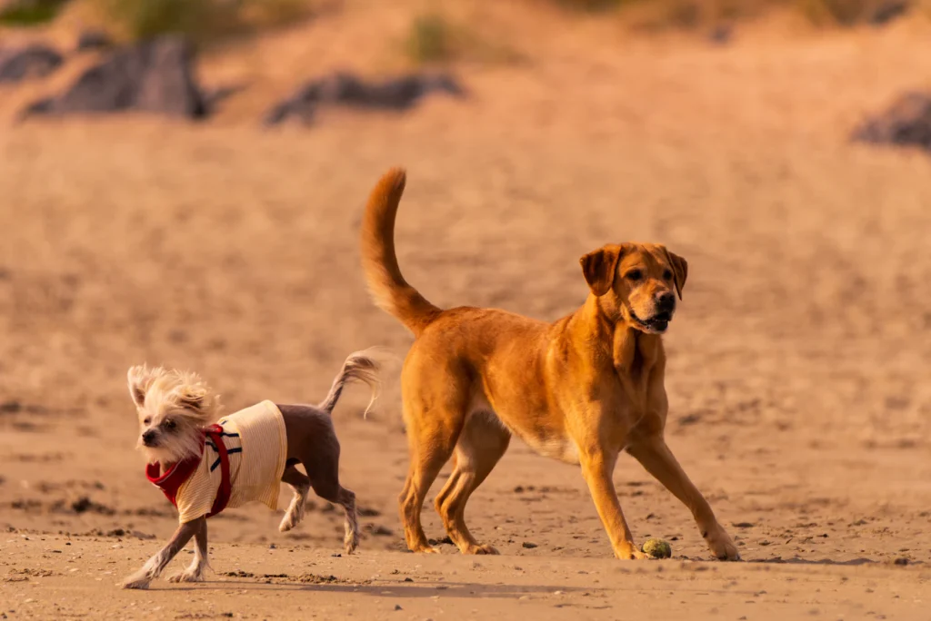 Зображення до статті від Magdalena Smolnicka